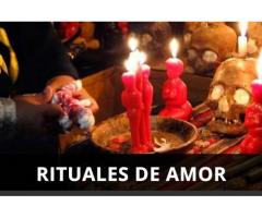Consulto professionale dettagliato 3501604694