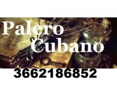 3662186852 PALERO CUBANO