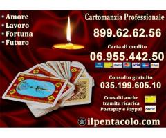 CONSULTO SERIO E PROFESSIONALE