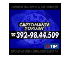 (¯`’•.¸*♫♪( Cartomante Yoruba' )♫♪*¸.•’´¯)