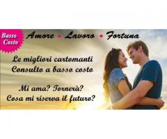 Consulto professionale a 5€!!!