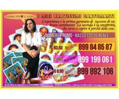 Numeri Anti Crisi 899848587 02.206064