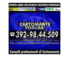 Il Cartomante Yoruba'