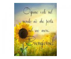Hajuara cartomante 3913666369