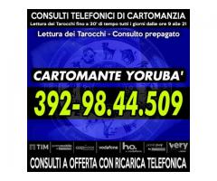 Il tuo partner è quello giusto? Chiedilo ai Tarocchi del Cartomante YORUBA'