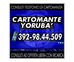 Cartomante Yoruba': il Cartomante YORUBA'