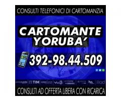 Cartomante Yoruba': il Cartomante YORUBA'