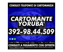 IL CARTOMANTE YORUBA'