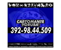 Non Aspettare Domani, Potrebbe Essere Molto Tardi: il Cartomante YORUBA'