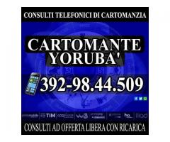 1 consulto con il Cartomante YORUBA' dura fino a 30 minuti di tempo