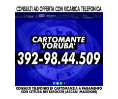 Consulto serio ed approfondito