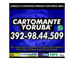 Cartomante YORUBA', risposte vere!