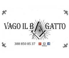Vago Il Bagatto 3888508537 Chi è la migliore cartomante di Roma?
