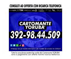 Consulto telefonico con Yorubà il Cartomante