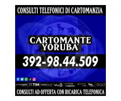 Yoruba' svolge consulti di Cartomanzia al telefono tutti i giorni dalle ore 9 alle 21