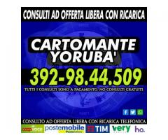 Avrai a disposizione fino a 30 minuti x 1 consulto di Cartomanzia con il Cartomante YORUBA'