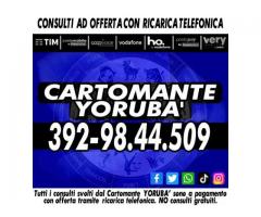 Esoterismo, Divinazione & Consulti: il Cartomante YORUBA'