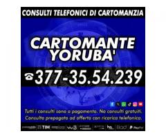 Magia delle Carte: Consulta il Cartomante Yorubà per le risposte!