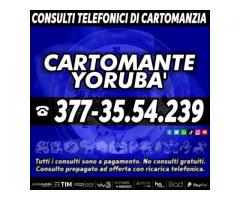 Un consulto che risponde a tutte le domande: il Cartomante YORUBA'