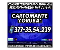 (¯`·._(¯`·._(Cartomante Yoruba')_.·´¯)_.·´¯)