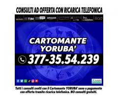 (¯`·._(¯`·._(Cartomante Yoruba')_.·´¯)_.·´¯)