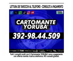 Mi occupo di Cartomanzia - il Cartomante Yorubà