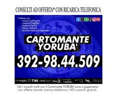 I miei Tarocchi ti parleranno...