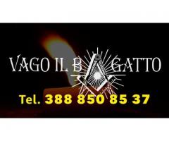 Vago Il Bagatto 3888508537 Bravissimo cartomante Torino