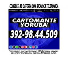 Fai tutte le domande che vuoi...risposte precise