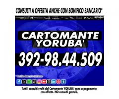 Il mio lavoro inizia dove finisce la tua speranza: Cartomante Yorubà
