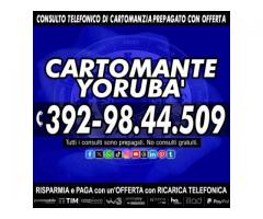 IL CARTOMANTE YORUBA