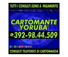 Il Cartomante dell'Amore