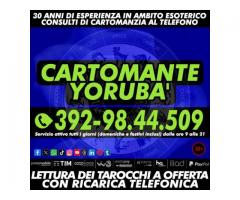 Presente su: Facebook, Instagram, Youtube, Tiktok, WhatsApp, X e Threads