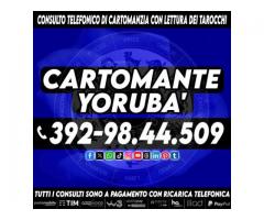Il  Cartomante Yorubà