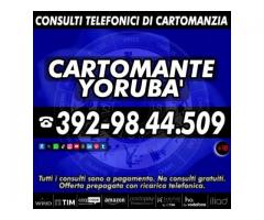 Prenota ora la tua consulenza!