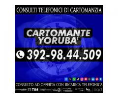 Vuoi sapere cosa riserva il futuro per te? contatta il Cartomante YORUBA'