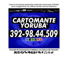 CREDERCI SEMPRE ARRENDERSI MAI!: IL CARTOMANTE YORUBA'