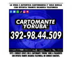 CREDERCI SEMPRE ARRENDERSI MAI!: IL CARTOMANTE YORUBA'