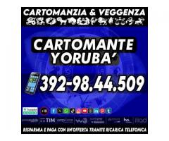 Servizi di Divinazione e Consultazione