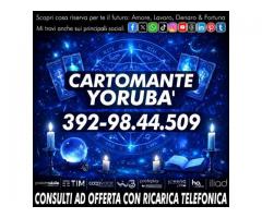 ...ANCHE CONSULENZA SPECIFICA