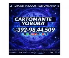 ...ANCHE CONSULENZA SPECIFICA