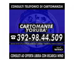 `'•.¸(¯`'•.¸* Cartomante Yoruba' *¸.•'´¯)¸.•' ´