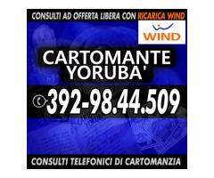 `'•.¸(¯`'•.¸* Cartomante Yoruba' *¸.•'´¯)¸.•' ´