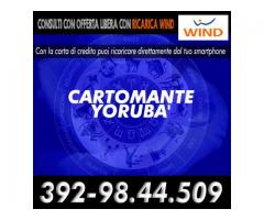 (¯`’•.¸*♫♪( Cartomante Yoruba' )♫♪*¸.•’´¯)