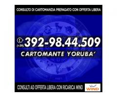 ´¨¯¨`*·~-.¸-( CARTOMANTE YORUBA' )-,.-~*´¨¯¨`