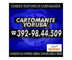 ´¨¯¨`*·~-.¸-( CARTOMANTE YORUBA' )-,.-~*´¨¯¨`