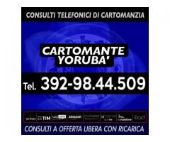 ❀(¯`*•.¸,¤°❀Cartomante YORUBA'❀°¤,¸.•*´¯)❀