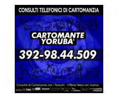 ____Cartomante Yoruba'____
