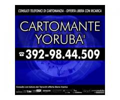 ESPERIENZA E AFFIDABILITA’ CONSULTO A BASSO COSTO: AFFIDATI AI TAROCCHI DEL CARTOMANTE YORUBA'