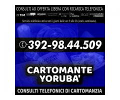 ▂ ▃ ▄ ▅ ▆ ▇ █ Cartomante Yorubà █ ▇ ▆ ▅ ▄ ▃ ▂